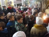 P1050095-01-23-2015