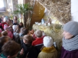 P1050096-01-23-2015
