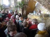 P1050097-01-23-2015