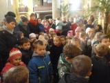 P1050098-01-23-2015