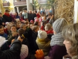 P1050103-01-23-2015