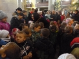 P1050105-01-23-2015