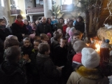 P1050106-01-23-2015