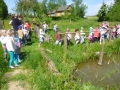 P1060908-05-22-2015