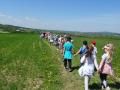 DSC04291-Copy