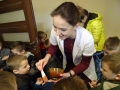 DSC00326-03-25-2019